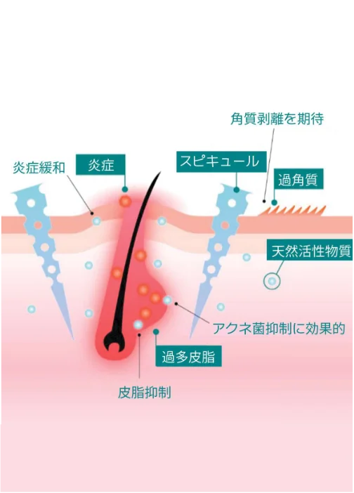 ANGEL LOOKAシカリペアスピキュールアンプル100商品説明